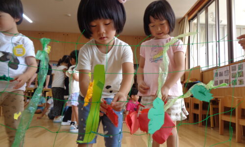 野菜の収穫（？）しました