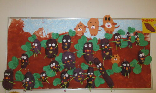 １１月になりました