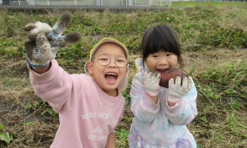 お芋ほりに行ったよ