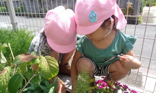 地域の方にお花をいただきました