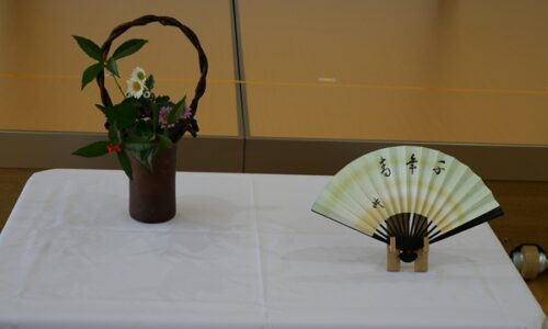 さくら組さんがお茶体験をしました