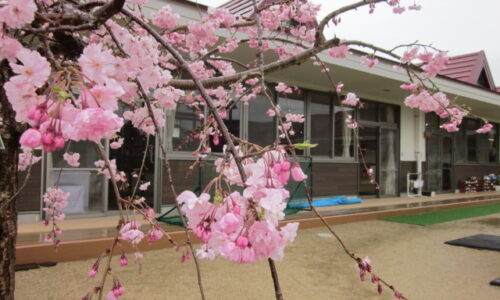 令和8年度が始まりました